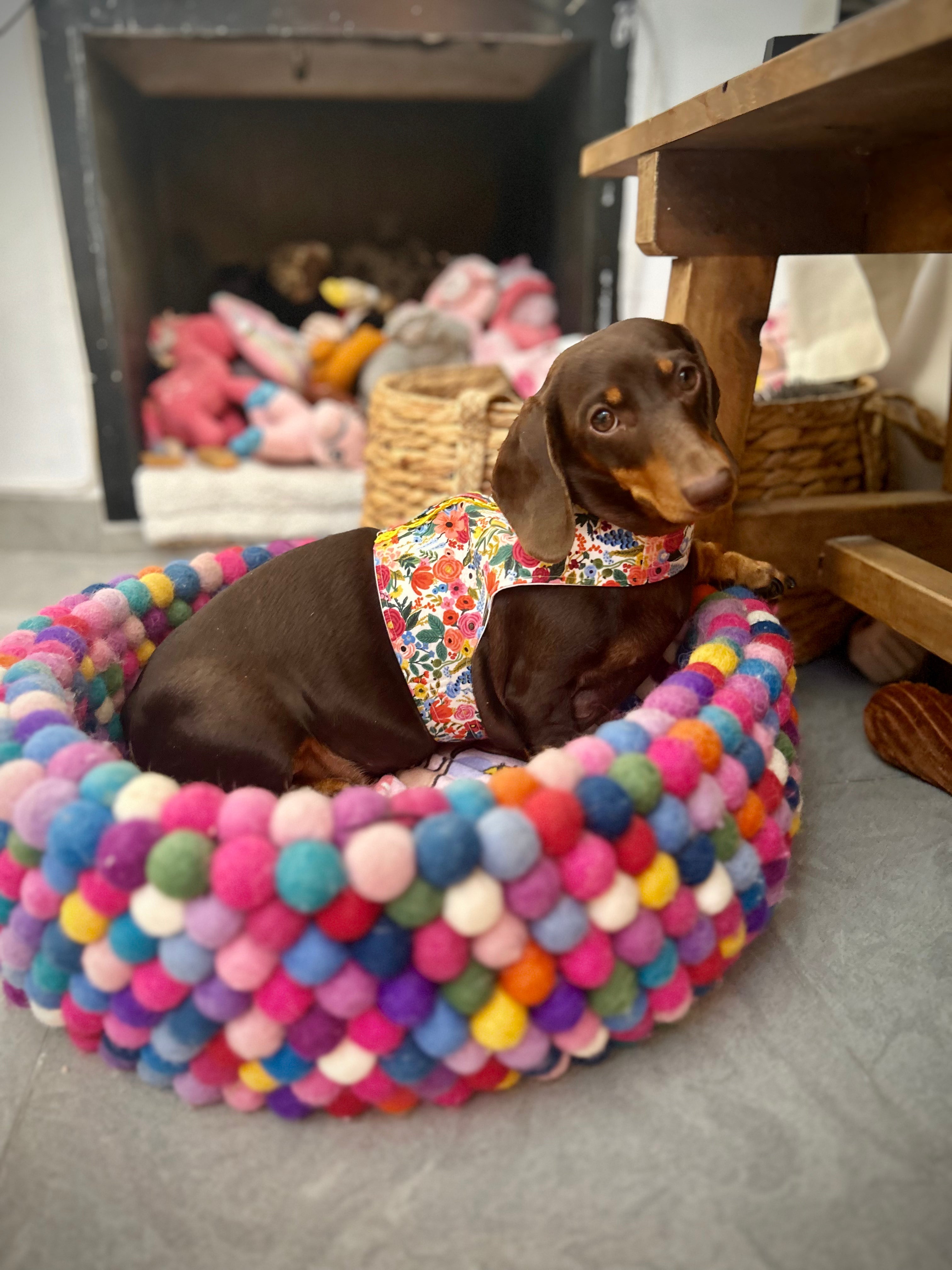 Handmade Vest Dog Harness - Garden Party