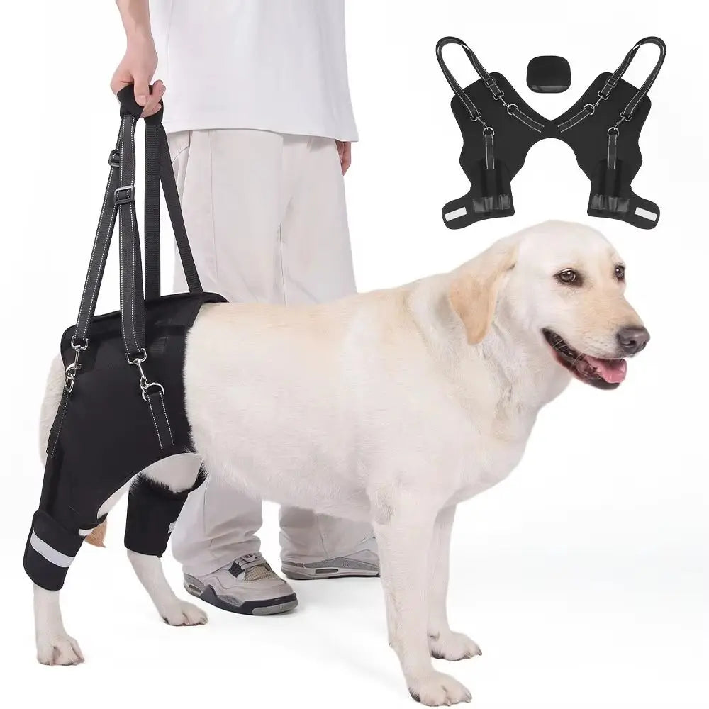 Arnés de soporte para cadera y patas traseras para perros – Negro, ajustable, con tiras reflectantes, transpirable y perfecto para asistencia al caminar.